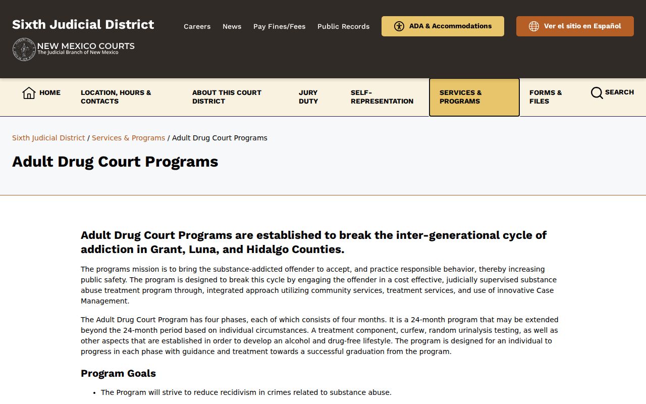Luna County criminal docket Adult Drug Court program coverage and phases